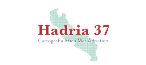 Hadria 37